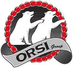 Orsi